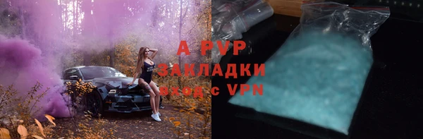 гидра Майский