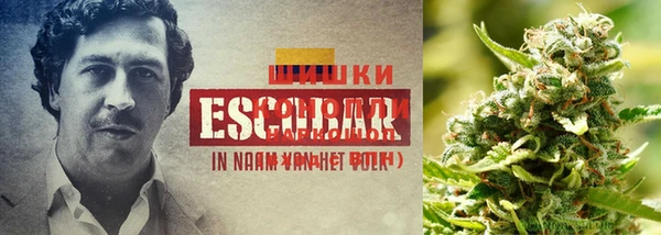 экстази Лихославль