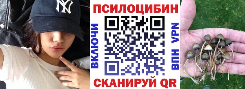 где можно купить наркотик  Новоаннинский  Псилоцибиновые грибы GOLDEN TEACHER 
